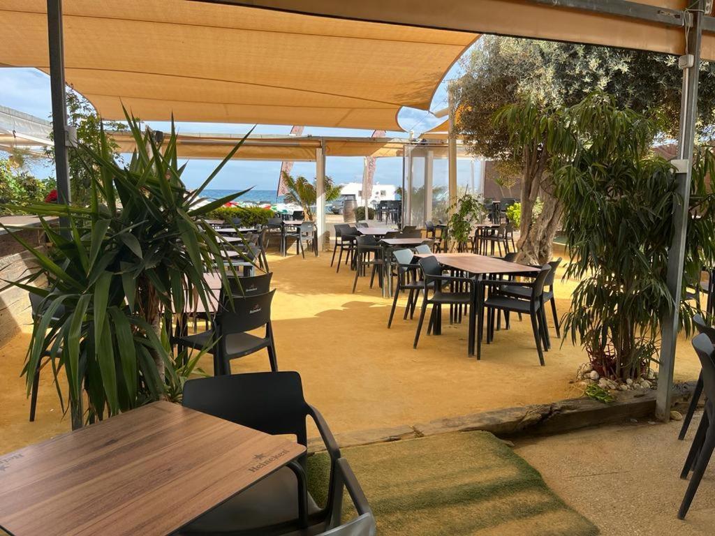 Beach Apartment Amalia Torrevieja Kültér fotó